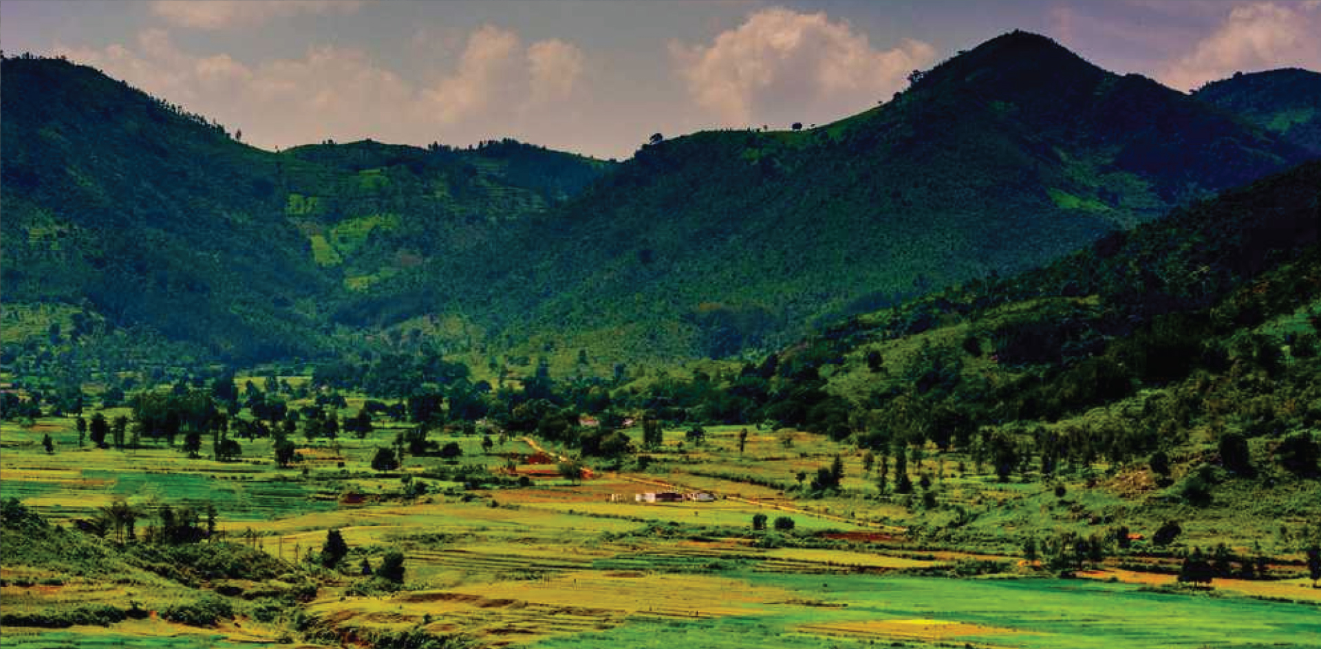 Araku Valley hills and greenery near Visakhapatnam